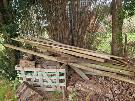 Photo of free Wood (Sunningdale SL5) #1