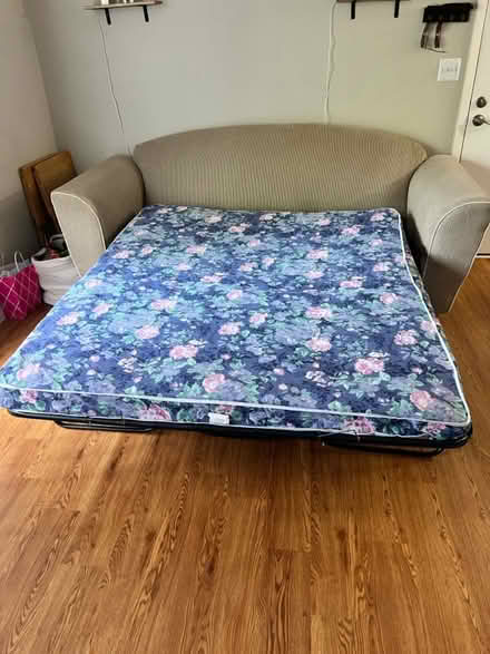 Photo of free Sofa bed (Tampa by USF) #2