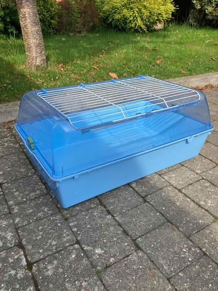 Photo of free Guinea pig/small rabbit cage (Bearsted) #1