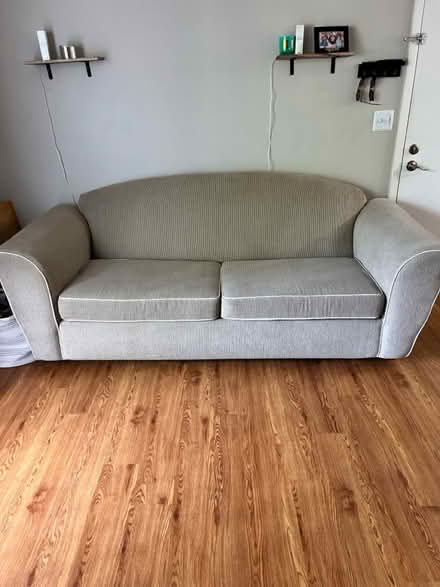 Photo of free Sofa bed (Tampa by USF) #1