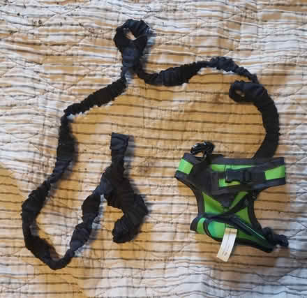 Photo of free Guinea pig leash (Kirkwood) #1