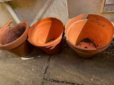 Photo of free Broken terracotta pots for crocks (Trowbridge BA14) #1