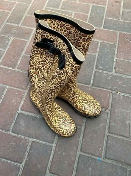 Photo of free Ladies Wellies (Southsea PO4) #1