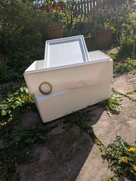 Photo of free Polystyrene boxes with lids (Halton LA2) #1