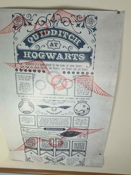 Photo of free Large Harry Potter Quidditch poster (Blackford Hill EH9) #1