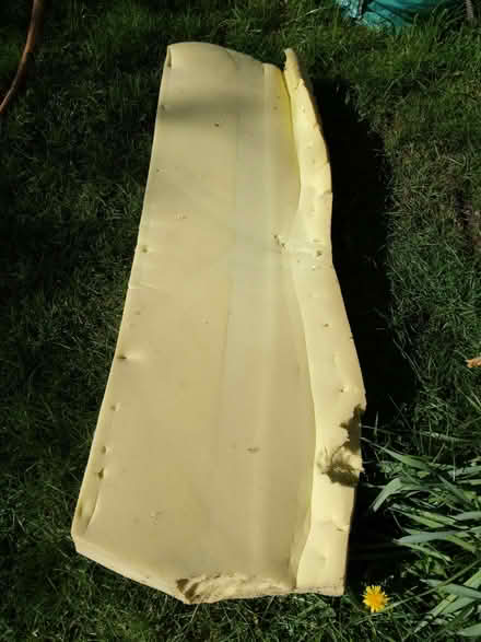 Photo of free Piece of foam (Stroud GL2) #1