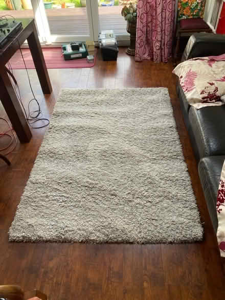 Photo of free Dunelm Slumber Swirl Rug (Heaton Moor Stockport SK4) #2