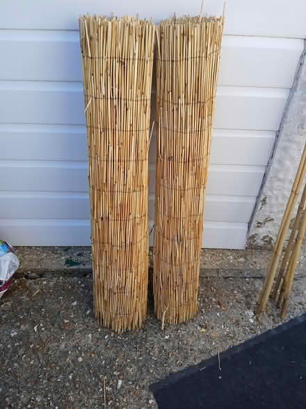 Photo of free Reed screening (Wallisdown BH12) #1