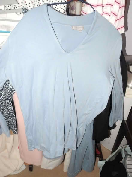 Photo of free Hobbs Aimee Tops (Misterton DN10) #1