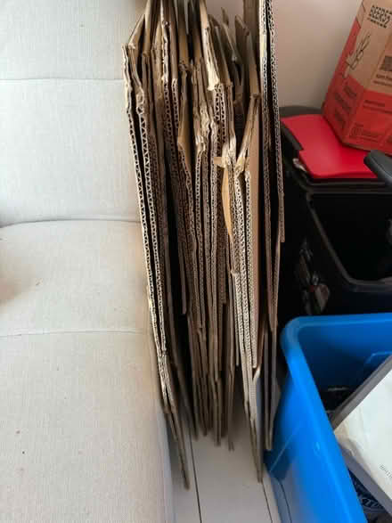 Photo of free Moving boxes (Hackney Wick E9) #1