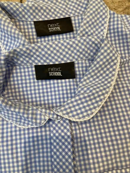 Photo of free Girls blue gingham school summer dresses, age 9 (Hampton Hill TW11) #4