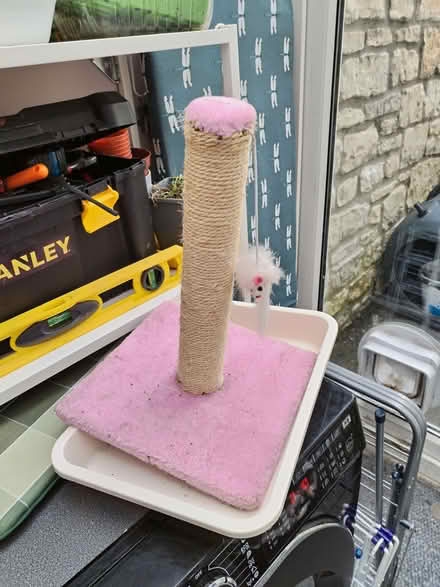 Photo of free Kitten scratching post and litter tray (Radstock) #1