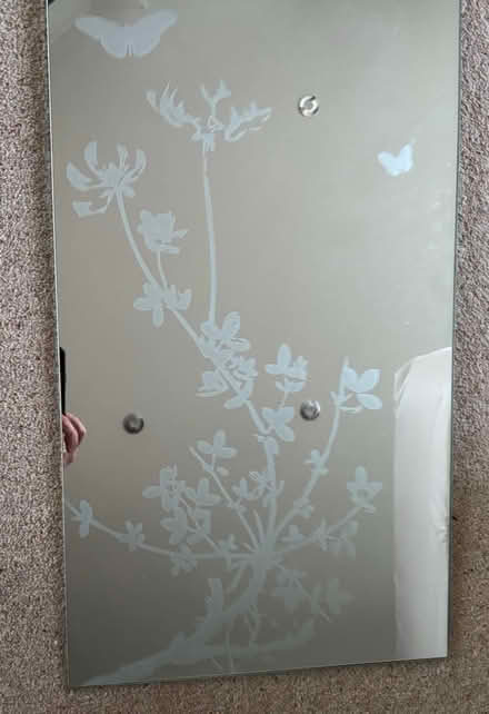 Photo of free IKEA mirror (4 miles from Axminster) #2