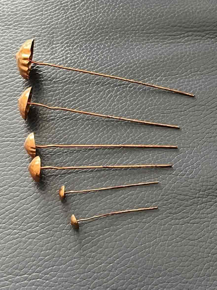 Photo of free Set of Copper Mushrooms for plantpots (New Eltham SE9) #1