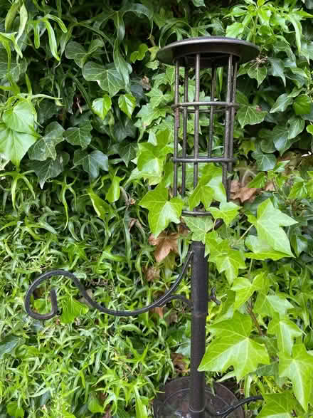 Photo of free Bird Feeder (WS13) #2