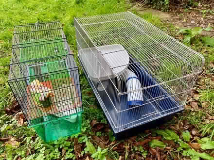 Photo of free Two hamster cages (Manor Park E7) #1