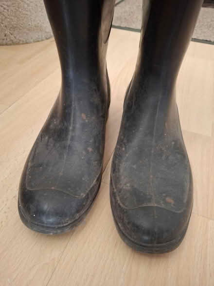 Photo of free Wellies - ladies size 5 (Stantonbury, MK14) #2