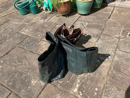 Photo of free plant bags (Torbrex FK8) #1