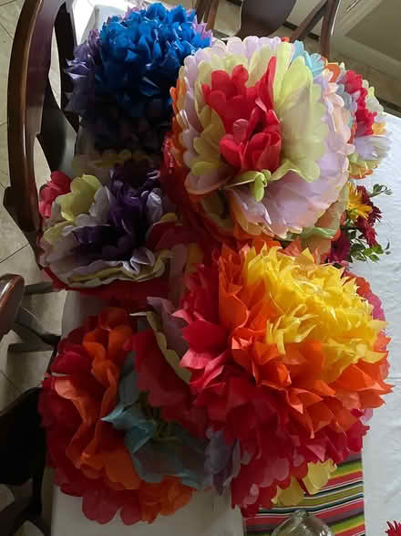 Photo of free Cinco de Mayo party decorations (Pleasanton, Ca) #1