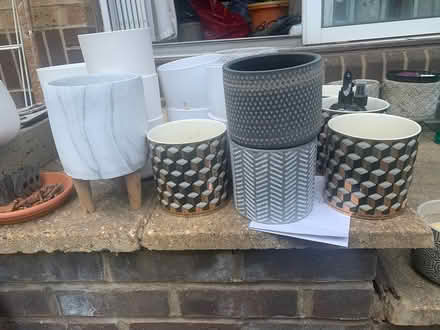 Photo of free Flower Potts 13x13cm (Bermondsey SE1 5HP) #4