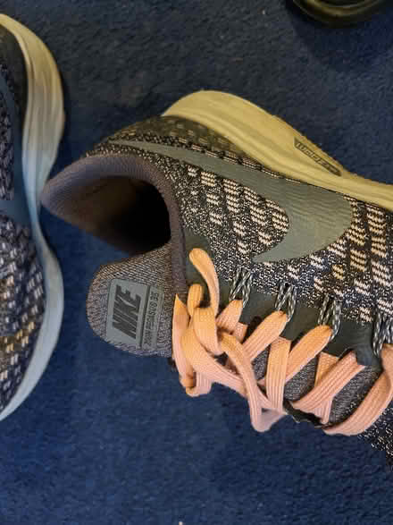 Photo of free Old running shoes (Jericho OX1) #1