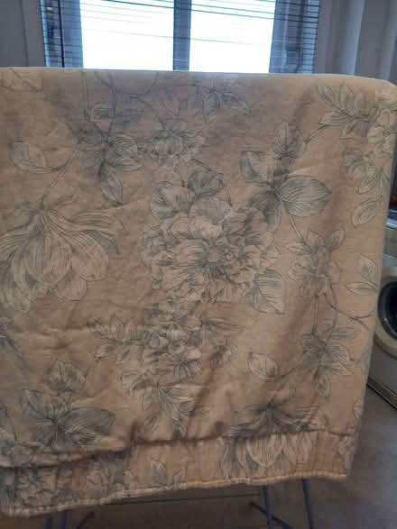 Photo of free Curtains (Craigleith EH4) #1