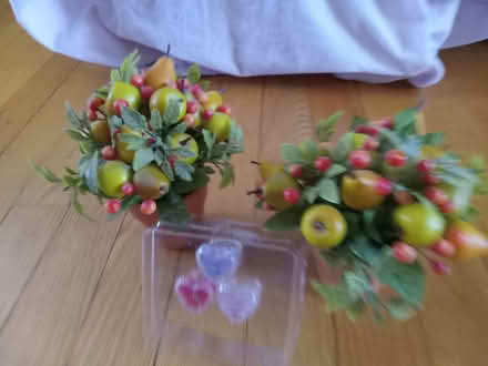 Photo of free small decor items (Near the experimental farm) #1