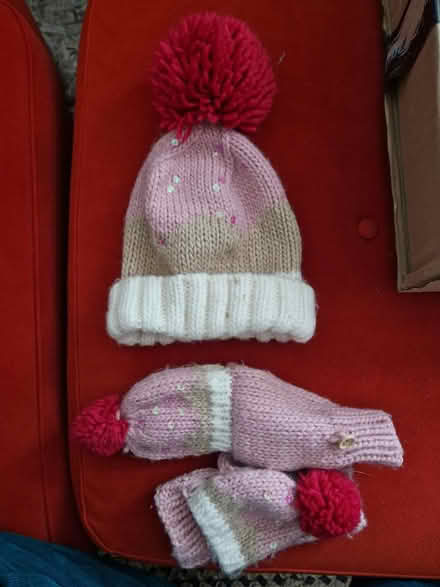 Photo of free Adult woolly hat and gloves (BN2) #1