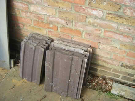 Photo of free Bricks Old Stocks & Roof Tiles (Bagshot GU19) #4