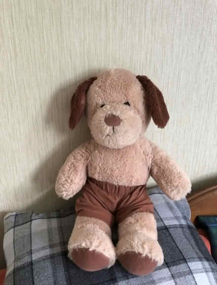 Photo of free Cuddles dog (Combe Down) #1