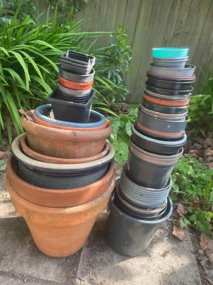 Photo of free Plantpots (Willaston CH64) #1