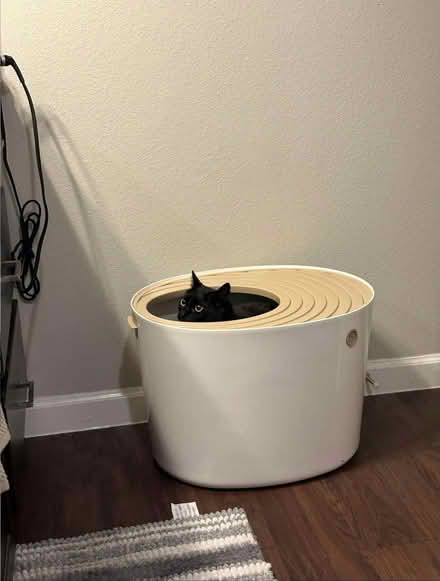 Photo of free Litter boxes (Reading ma) #1