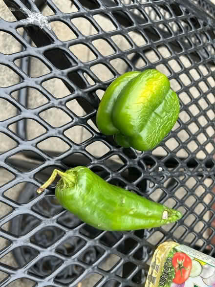 Photo of free Groceries (Valencia Avenue, Sunnyvale) #3