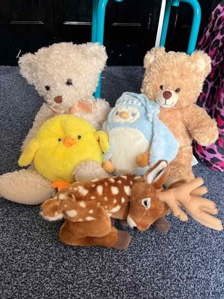 Photo of free Soft toys (Upshire EN9) #1