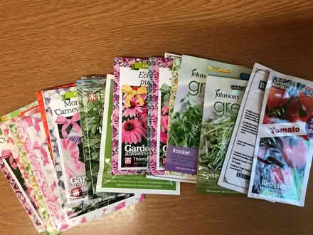 Photo of free Seeds (Coton Hill SY1) #1