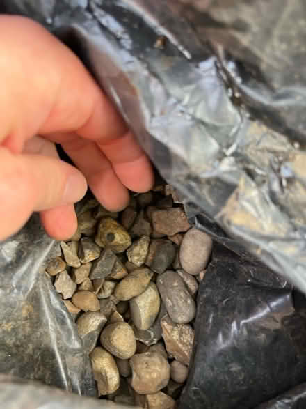 Photo of free Bags pebble stones (Canonbury, N5) #1