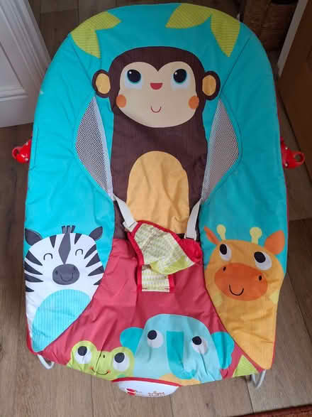 Photo of free Baby bouncy chair with sound and vibration (Houghton CA6) #1