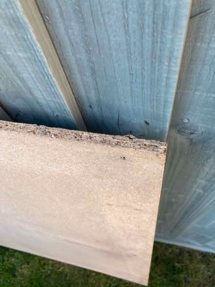 Photo of free Wood (Kidlington) #2