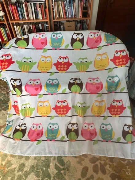Photo of free Cute Owl bathroom set (Catskill) #1