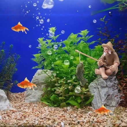 Photo of Fish tank / aquarium and accessories (Bromham Road MK40) #1