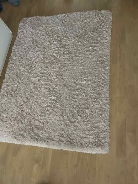 Photo of free Fluffy pink rug (Old town, Chicago) #1