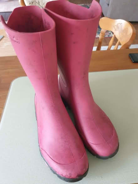 Photo of free Pair Pink Wellington Boots Size 7/8 (Clint Green NR20) #1