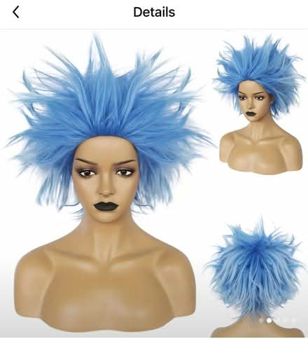 Photo of free Stylish Party Wig (Central Reading RG1) #2