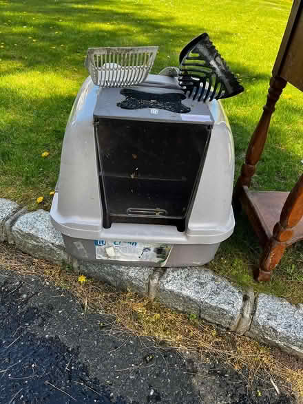 Photo of free Curb Alert in Smithtown (Elmont) #3