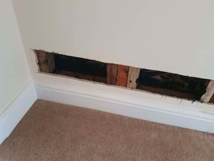 Photo of Offcut of plasterboard (Sporle PE32) #2