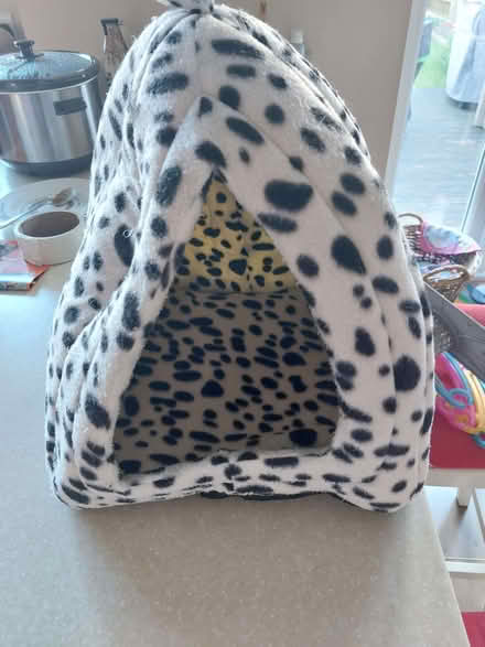 Photo of free Cat cosy basket (Charlton OX12) #1