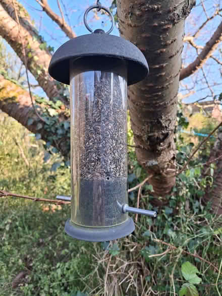 Photo of free Bird Feeder + Niger Seed (Rusthall TN3) #1