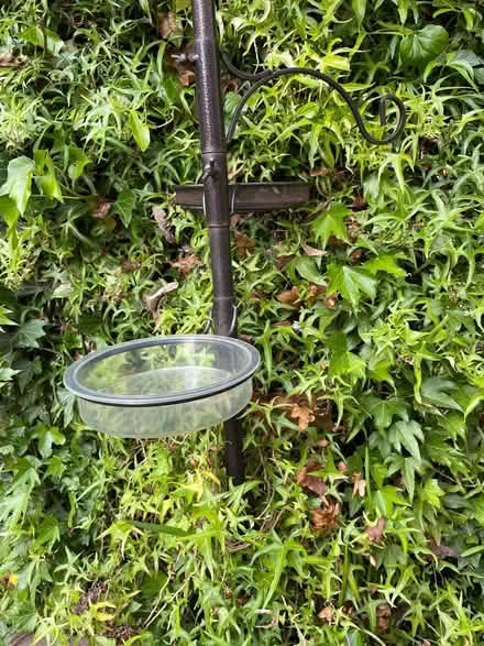 Photo of free Bird Feeder (WS13) #4