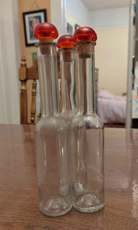 Photo of free Set of 3 Decorative Jars with tops (Near Backestro Park, San Jose) #2