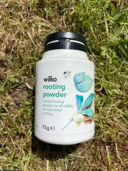 Photo of free Rooting Powder (WS13) #1